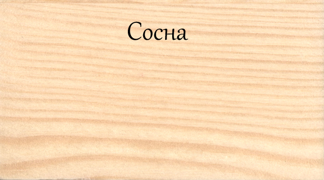 Сосна.jpg Сосна.jpg