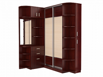 Прихожая-купе "Дали-4"