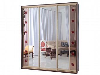 Шкаф-купе 3-х дверный "Титан-5"