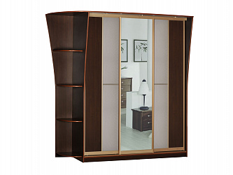 Шкаф купе 3-х дверный "Концепт-11"