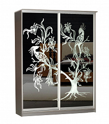 Шкаф-купе 2-х дверный "Концепт-3"