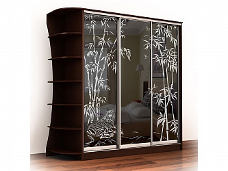 Шкаф-купе 3-х дверный "Лагуна-42"