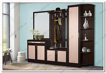 Модульная прихожая "Лира"