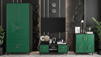 Модульная стенка для гостиной "Ришелье-55"