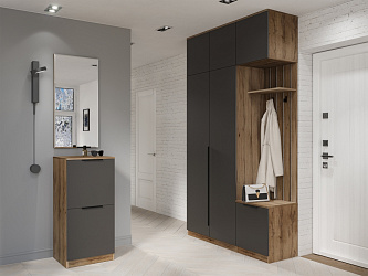 Модульная прихожая "Авеню-3"