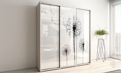 Шкаф купе 3-х дверный "Модус-15"