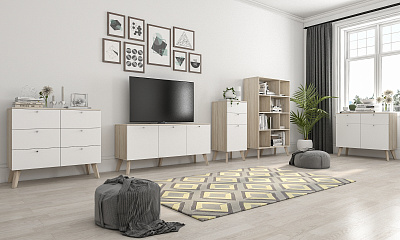 Модульная стенка для гостиной "Север-15"