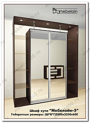Шкаф купе "Мебелайн-5"
