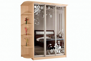 Шкаф-купе 3-х дверный "Лагуна-29"