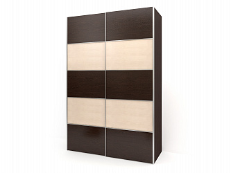 Шкаф купе 2-х дверный "Рондо 2-14"