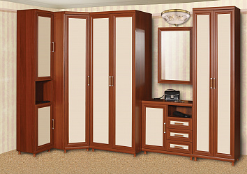 Прихожая "Данко-2"