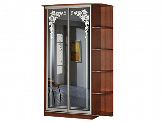 Шкаф-купе 2-х дверный "Концепт-1"