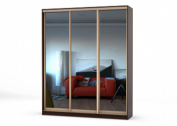 Шкаф-купе 3-х дверный "Лагуна-12"