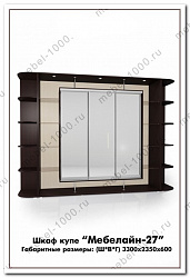Шкаф купе "Мебелайн-27"