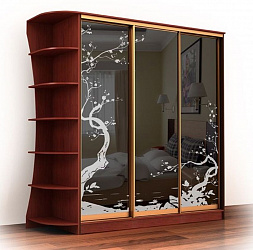 Шкаф-купе 3-х дверный "Лагуна-43"