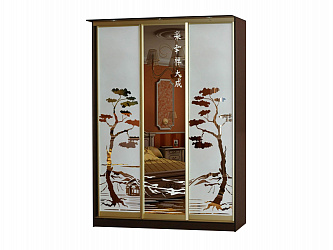 Шкаф-купе 3-х дверный "Лагуна-11"