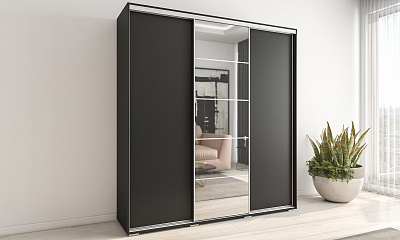 Шкаф купе 3-х дверный "Модус-18"